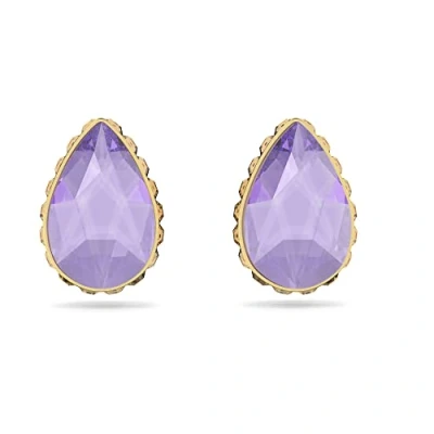 Afbeelding van Swarovski Orbita Pierced Earrings PAIR GOLD Shiny Oorbellen, Dames, Maat: One Size, Purple