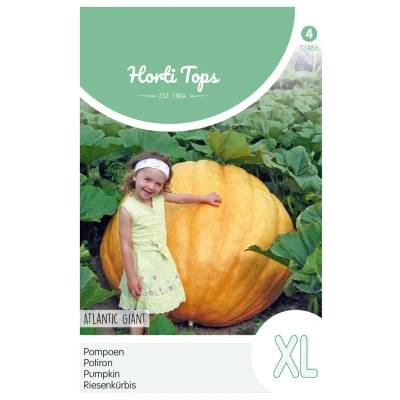 Afbeelding van Pompoenen Atlantic Giant Hortitops