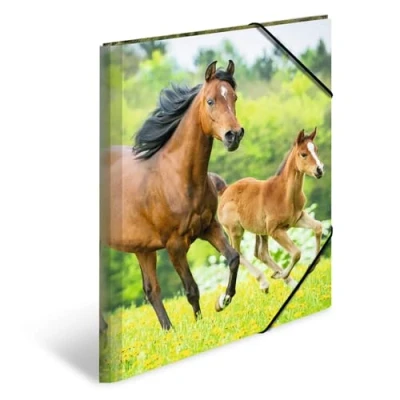 Image de Herma 7145 esselte leitz chemise 3 pp chevaux