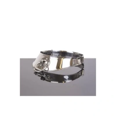 Afbeelding van Locking Collar met Ring 12 cm