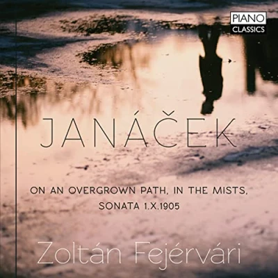 Afbeelding van Zoltan Fejervari Janacek: On An Overgrown Path, In The Mists, Sonat (CD)
