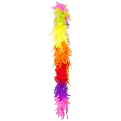 Afbeelding van Boland Boa 50 g Party regenboog Multi Volwassenen Unisex Showgirl Glitter and Glamour