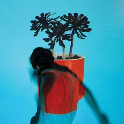 Afbeelding van Sunlit Youth (LP)