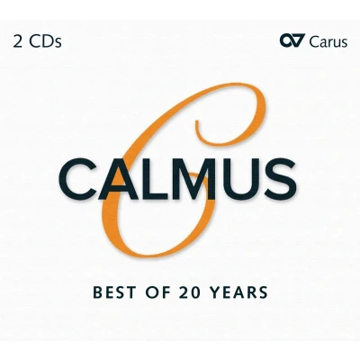 Afbeelding van Best Of 20 Years (CD)