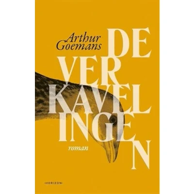 Afbeelding van De verkavelingen