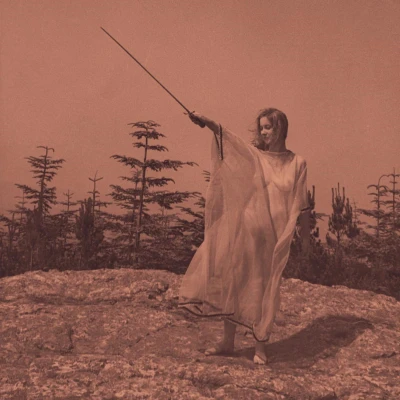 Afbeelding van Unknown Mortal Orchestra Ii