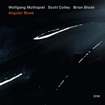 Afbeelding van Wolfgang Muthspiel Angular Blues (CD)