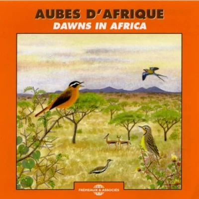 Afbeelding van Sound Effects Dawns In Africa (CD)