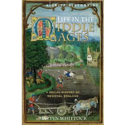 Afbeelding van Brief History Of Life In The Middle Ages
