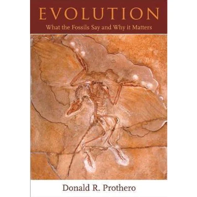 Afbeelding van Evolution