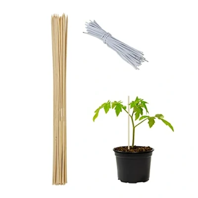 Afbeelding van Relaxdays plantenstok bamboe 60 cm plantensteun 50 stuks tomaten bamboestok