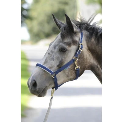 Image de Bucas Licol Dublin Marin/Argente Poney