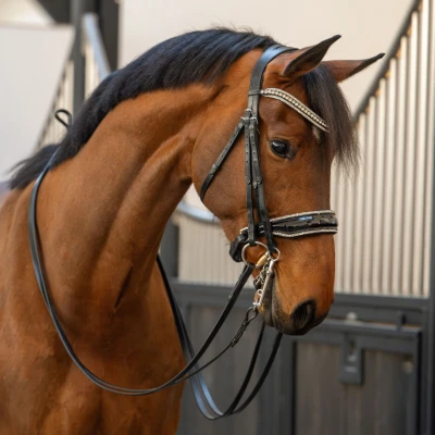 Image de HB Showtime Double Bridle One in a Million