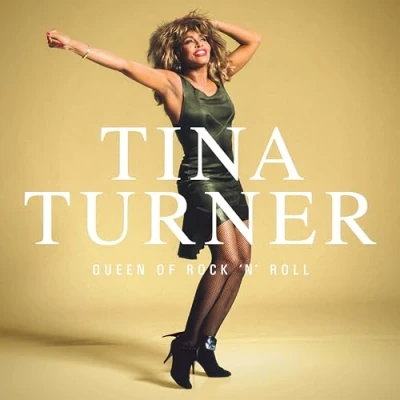 Afbeelding van Tina Turner Queen of Rock &#039;N&#039; Roll (LP)