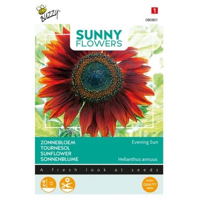 Afbeelding van Sunny flowers evening sun Buzzy