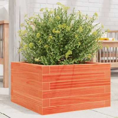 Afbeelding van Plantenbak 40x40x23 cm massief grenenhout wasbruin
