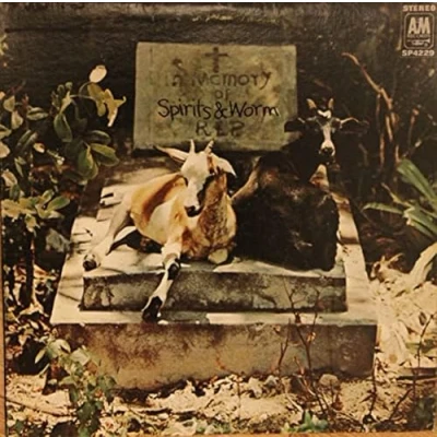 Afbeelding van Spirits &amp; Worm (LP)