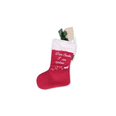 Afbeelding van P.L.A.Y. Hondenspeelgoed Merry Woofmas Good Dog Stocking