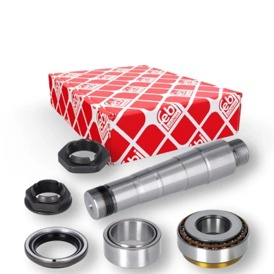 Afbeelding van Febi Bilstein Fuseepen rep.set 40891