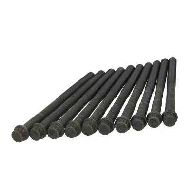 Afbeelding van Cilinderkopbout set ELRING 728.080