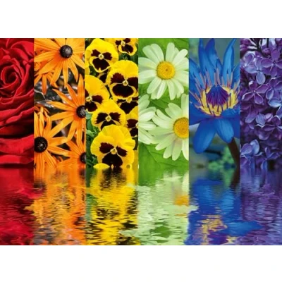 Image de Puzzle Ravensburger Réflexions florales, 500 pièces