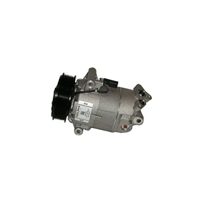 Afbeelding van DELPHI TSP0155464 AC Compressor 6CVC PAG 46 Met compressorolie RENAULT: MEGANE 2