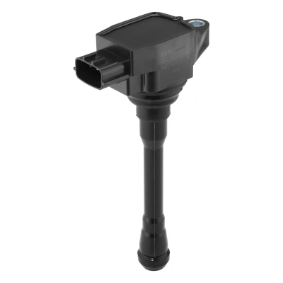 Afbeelding van Bobine BorgWarner (BERU) ZS612, voor o.a. RENAULT, DACIA