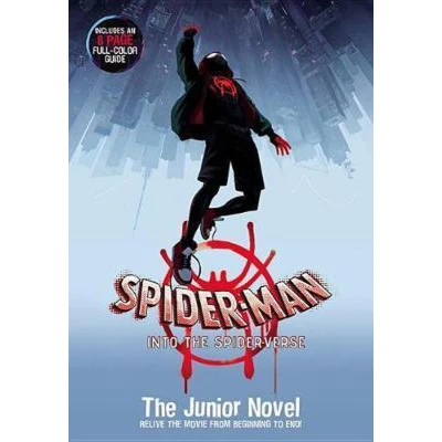 Afbeelding van Spider Man: Into the Verse