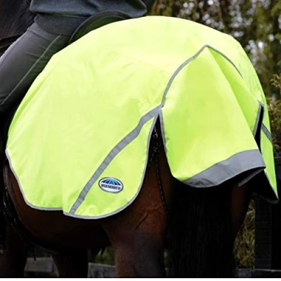 Image de Weatherbeeta Exercise Sheet 300D Reflektierend Jaune 95/145