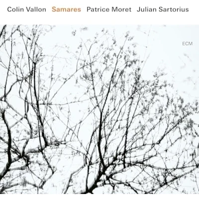 Afbeelding van Colin Vallon Trio, Julian Sartorius, Patrice Moret Samares (CD)