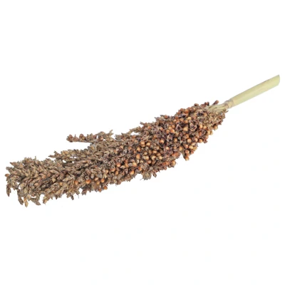 Afbeelding van Jr Farm Dari Kolf Ruwvoer 3 x 13 39 cm 100 g