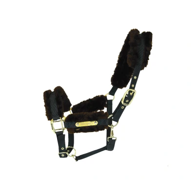 Image de Kentucky Licol Nylon Sheepskin Marron Full