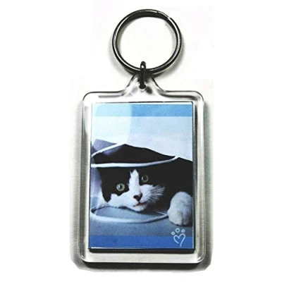 Afbeelding van PC3721 @ Grote transparante fotosleutelhanger 50 x 35 mm Model 92033 (5 stuks), Transparant