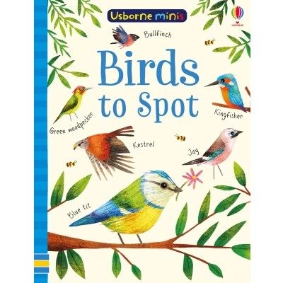 Afbeelding van Birds to Spot Usborne Minis