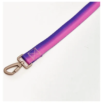 Afbeelding van Dogguo Gradient Leash Hondenriem 23 cm Paars Roze Voor Grote Honden M