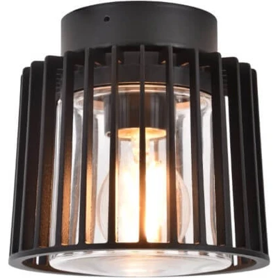 Afbeelding van LUTEC Shyne plafondlamp voor buiten E27 Zwart