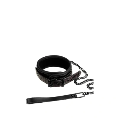 Afbeelding van Blaze Halsband Met Ketting Paars