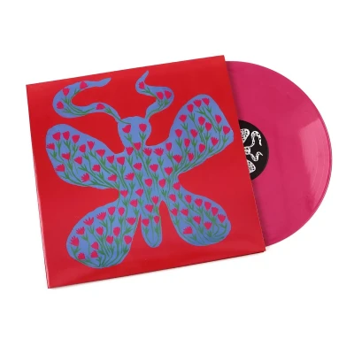 Afbeelding van Dehd Blue Skies (LP)