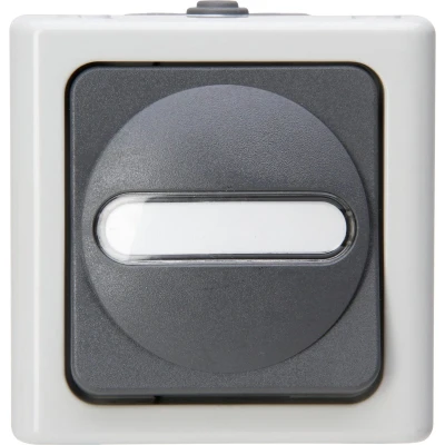 Afbeelding van Kopp 560756009 BlueElectric Compleet Kruisschakelaar spatwaterdicht Grijs 1 stuks