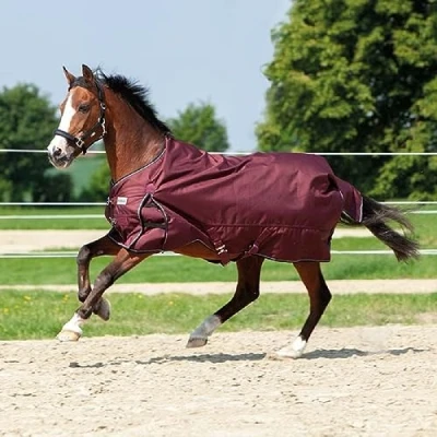 Afbeelding van Kavalkade Outdoordeken Alaska IV Fleece Bordeaux 135/185 Agradi.be