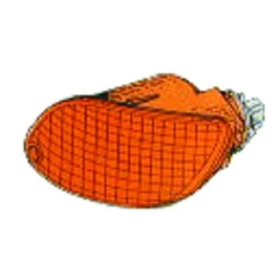 Afbeelding van DIEDERICHS 1415070 Knipperlichten Oranje rechts Zonder lamphouder