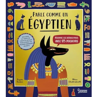 Afbeelding van PARLE COMME UN EGYPTIEN (HIEROGLYPHES 125 POCHOIRS)
