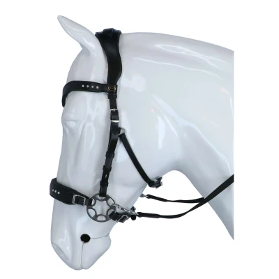 Afbeelding van F.R.A Hoofdstel Glory Hackamore Leder met Kralen Zwart Full