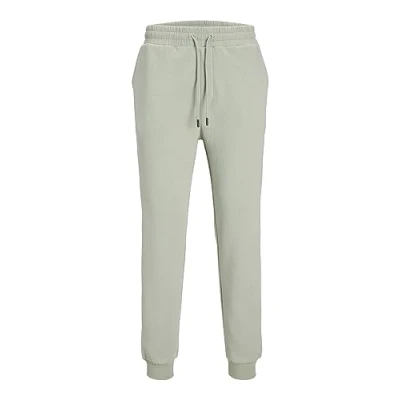 Afbeelding van JACK &amp; JONES Jpstgordon Jjbradley Gms Noos joggingbroek voor heren, Woestijn salie