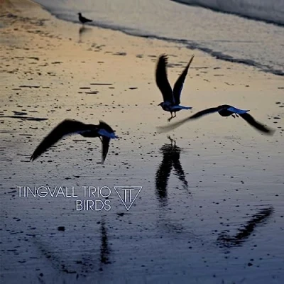Afbeelding van Tingvall Trio Birds (CD)