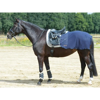 Image de Busse Training rug Fly