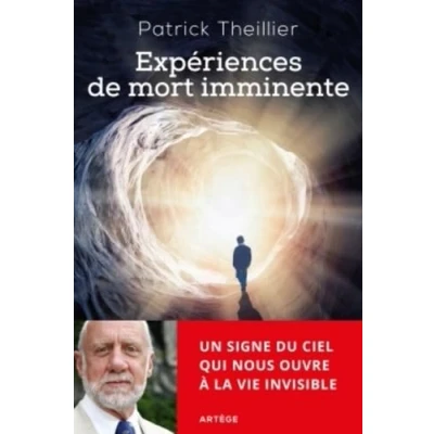 Afbeelding van EXPERIENCES DE MORT IMMINENTE UN SIGNE DU CIEL QUI NOUS