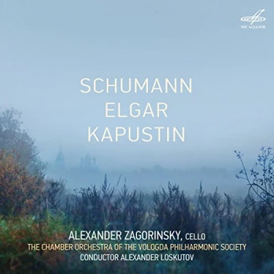 Afbeelding van Alexander Zagorinsky &amp; The Chamber Orchestra Of Vologda Philharmonic Society Cello Concertos Serenade (CD)