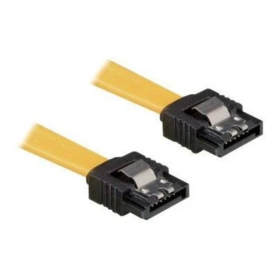 Image de DeLOCK Cable SATA câble 30 cm
