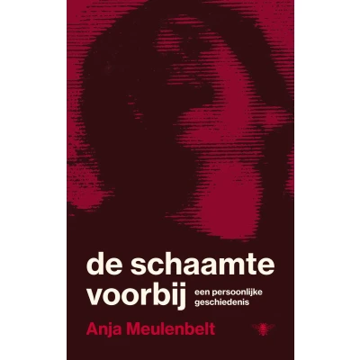 Afbeelding van De schaamte voorbij